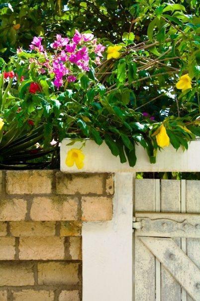 Casa Verde Pousada Cumbuco Phòng bức ảnh